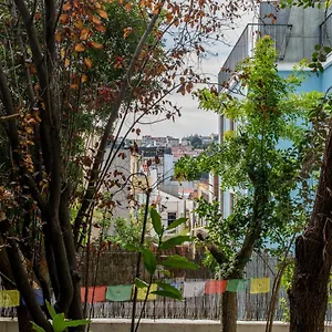 Lost :: Avenida House Affittacamere
