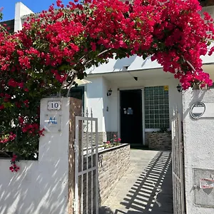 Bing Garden Lizbona